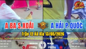 Trận 12 Xà Xía 13/05/2026 - Gà Anh Ba Đá Đòn Cựa Quá Nghiệt