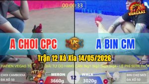 Trận 12 Xà Xía 14/05/2026 - Anh Bin CM Hạ Anh Choi Chưa Tới 1 Tay Nước