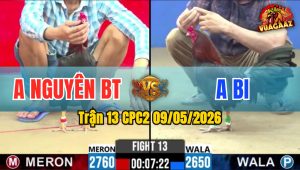 Trận 13 CPC2 09/05/2026 - Gà Điều Đá Chân Nào Là Thấm Chân Đó