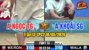 Trận 13 CPC2 10/05/2026 - Anh Khoái SG Đá Đòn Cựa Quá Hiểm