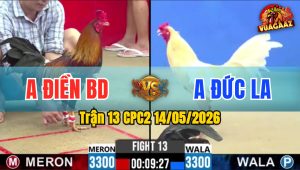 Trận 13 CPC2 14/05/2026 - Gà Anh Đức Long An Quá Nhanh Quá Nguy Hiểm