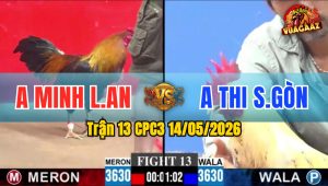 Trận 13 CPC3 14/05/2026 - Gà Anh Thi Gồng Gánh Tới Cuối Cứu Chủ