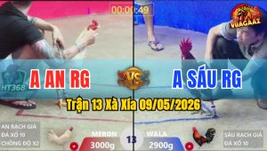 Trận 13 Xà Xía 09/05/2026 - Gà Úa Canh Nạp 1 Cước Xanh Xin Đi Về Trước