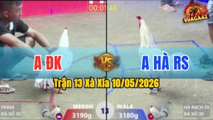 Trận 13 Xà Xía 10/05/2026 - Gà Đỏ Nạp Siết 1 Tăng Buông Ra Xanh Té