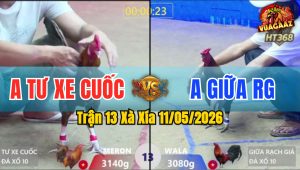 Trận 13 Xà Xía 11/05/2026 - Đỏ Đá Bo Như Xe Đụng Hạ Xanh Dưới Chân