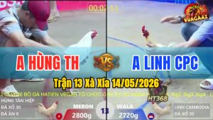 Trận 13 Xà Xía 14/05/2026 - 2 Chiến Kê Quá Ngang Tài Ngang Sức