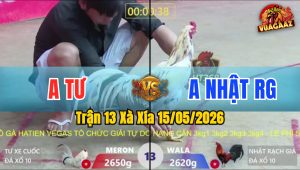 Trận 13 Xà Xía 15/05/2026 - Gà Anh Nhật Rạch Giá Có Pha Lật Kèo Quá Hay