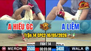 Trận 14 CPC2 10/05/2026 - Gà Đỏ Đá Cây Cựa Hiểm Xanh Hết Cứu