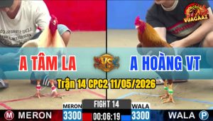 Trận 14 CPC2 11/05/2026 - Khét Trên Màu Hạ Úa Nhẹ Nhàng
