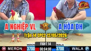 Trận 14 CPC2 12/05/2026 - Gà Anh Nghiệp Vĩnh Long Đá Xanh Bay Bồ