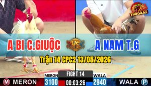 Trận 14 CPC2 13/05/2026 - Gà Điều Anh Bi Đá Chậm Mà Chắc Cú