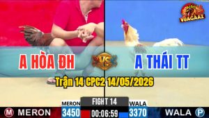 Trận 14 CPC2 14/05/2026 - Gà Anh Hoà Gồng Gánh Tới Phút Cuối