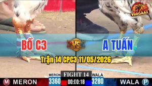 Trận 14 CPC3 11/05/2026 - Bồ C3 Tung Cọp Ra Và Cái Kết