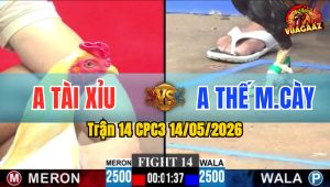 Trận 14 CPC3 14/05/2026 - Gà Xanh Đá Gà Đỏ Thấm Tang Chết Từ Từ