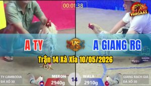 Trận 14 Xà Xía 10/05/2026 - Anh Ty Triệt Hạ Gãy Chân Đối Thủ