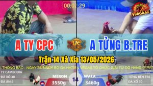 Trận 14 Xà Xía 13/05/2026 - Gà Anh Ty Campuchia Gồng Gánh Cứu Chủ