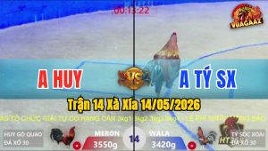 Trận 14 Xà Xía 14/05/2026 - Gà Đỏ Có Pha Gồng Gánh Cứu Chủ Quá Hay