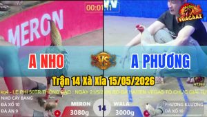 Trận 14 Xà Xía 15/05/2026 - Gà Bướm Anh Phương Đá Canh Chặn Quá Khéo