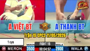 Trận 15 CPC2 11/05/2026