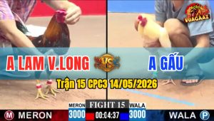 Trận 15 CPC3 14/05/2026 - Anh Gấu Làm Thịt Anh Lam Vĩnh Long