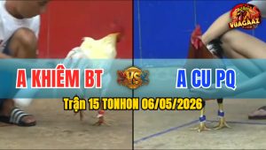 Trận 15 TONHON 06/05/2026 - Gà Anh Khiêm BT Quá Nhanh Quá Nguy Hiểm