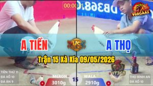 Trận 15 Xà Xía 09/05/2026 - Anh Tiền Thắng Anh Thọ Trong Vất Vả