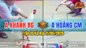 Trận 15 Xà Xía 11/05/2026 - Đỏ Có Chân Cúp Điện Hạ Xanh
