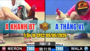 Trận 16 CPC2 09/05/2026 - Gà Bướm Anh Thắng Canh Nạp 1 Cây Lụm Tiền