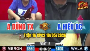 Trận 16 CPC2 10/05/2026 - Gà Anh Hiếu GC Nhỏ Nhưng Có Võ