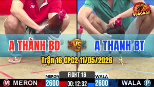 Trận 16 CPC2 11/05/2026 - Xanh Đá Cựa Tịch Đỏ Nằm Liệt Tại Chỗ