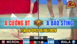 Trận 16 CPC2 15/05/2026 - Anh Cường Bến Tre Làm Thịt Idol Bảo Sting