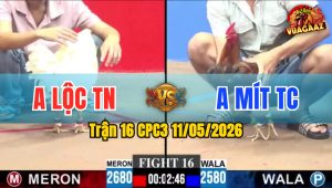 Trận 16 CPC3 11/05/2026 - Xanh Buông Đuôi Dí Đỏ Đá Tới Phút 90