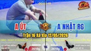 Trận 16 Xà Xía 12/05/2026 - Gà Anh Nhật Đá Xanh Không Kịp Tha Lơ