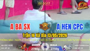 Trận 16 Xà Xía 13/05/2026 - Gà Anh Hen Đá Đòn Cựa Quá Tịch