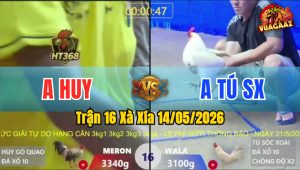 Trận 16 Xà Xía 14/05/2026 - Anh Tú Chồng Độ Gặp Phải Thứ Dữ