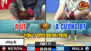 Trận 17 CPC2 09/05/2026 - Gà Anh Út Chồng Độ Lên Lớp Đẳng Cấp