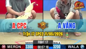 Trận 17 CPC2 11/05/2026 - Bông Đè Bạc Bướm Đá Cho Quăng Xuống Sông