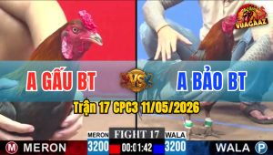 Trận 17 CPC3 11/05/2026 - Đỏ Của Gấu Đá Như Máy Khâu Hạ Xanh Ngọt