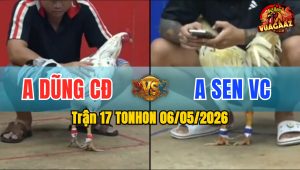 Trận 17 TONHON 06/05/2026 - Anh Dũng CĐ Hạ Luôn Idol Sen VC
