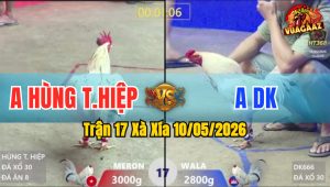 Trận 17 Xà Xía 10/05/2026 - Gà Anh Hùng Có Chân Cựa Dứt Điểm