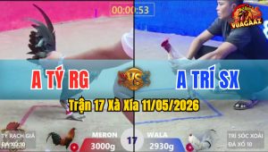 Trận 17 Xà Xía 11/05/2026 - Đỏ Đang Đá Bất Ngờ Bỏ Chạy Đầy Bất Ngờ