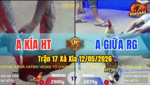 Trận 17 Xà Xía 12/05/2026 - Gà Anh Giữa Rạch Giá Tải Cựa Quá Khủng