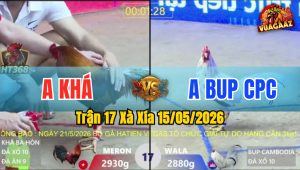 Trận 17 Xà Xía 15/05/2026 - Gà Bướm Anh Bup Campuchia Đá Quá Đâm