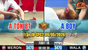 Trận 18 CPC2 09/05/2026 - Gà Điều Anh Tỏn Nạp Mấy Chân Lụm Tiền