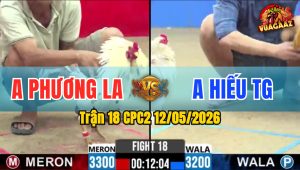 Trận 18 CPC2 12/05/2026 - Gà Anh Hiếu Tiền Giang Đâm Như Sát Thủ