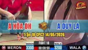 Trận 18 CPC2 14/05/2026 - Gà Bướm Hạ Điều Vì Cái Tội Dí Bạc Ăn 5