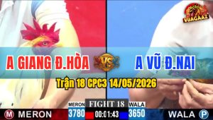 Trận 18 CPC3 14/05/2026 - Cân Tài Cân Sức Giữa Anh Giang Và Anh Vũ