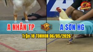 Trận 18 TONHON 06/05/2026 - Gà Anh Sơn HG Đá Như Tên Bắn