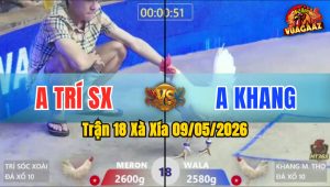 Trận 18 Xà Xía 09/05/2026 - Gà Anh Khang Quá Nhanh Quá Nguy Hiểm