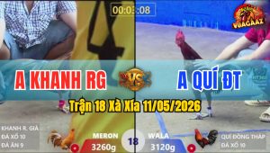 Trận 18 Xà Xía 11/05/2026 - Điều Đá Lọt Cặp Ngực Khét La Miệng